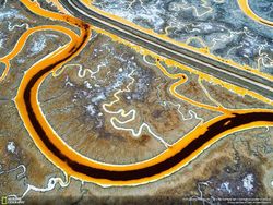 Mahakarya Fotografer Jawara Kontes NatGeo 2016