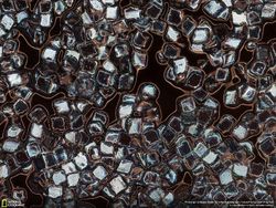 Mahakarya Fotografer Jawara Kontes NatGeo 2016