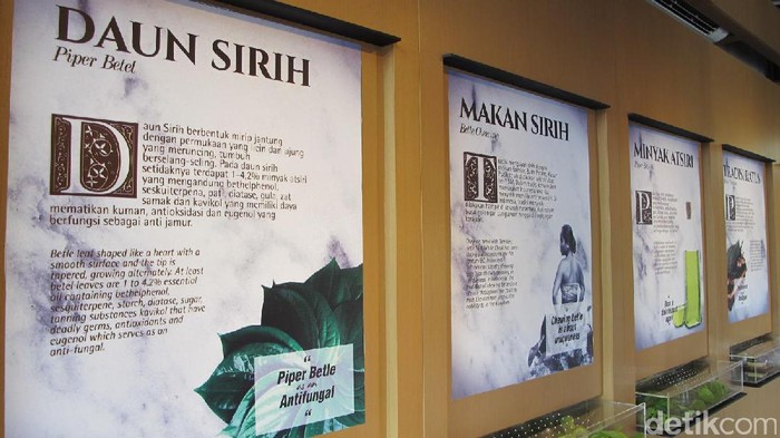 Hai Ladies, Ini Wisata Kecantikan yang Baru di Bali