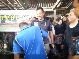 Diguyur Gerimis, Agus Kunjungi Usaha Bir Pletok dan Peternakan Sapi