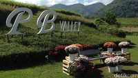 Suburnya tanah di Khao Yai membuat daerah yang berjarak 150 km dari Bangkok, Thailand ini dengan mudah ditanami berbagai jenis buah-buahan. Tourism Authority of Thailand mengajak detikTravel ke kebun anggur PB Valley di Khao Yai yang disebut terbesar se-Asia Tenggara pekan lalu (Pasti/detikTravel)
