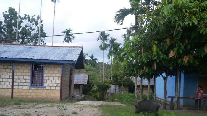 Satu Lagi Desa di Papua yang Dapat Listrik dari PLN