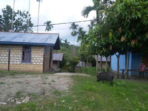 Satu Lagi Desa di Papua yang Dapat Listrik dari PLN