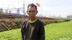 Bercocok Tanam di Bantaran Kali Tanah Abang