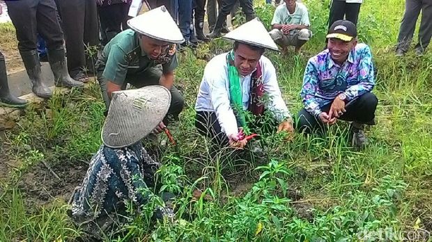 Mentan Amran kunjungan kerja di Tapin-Kalsel