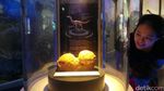 Bangkok Punya Dinosaurus