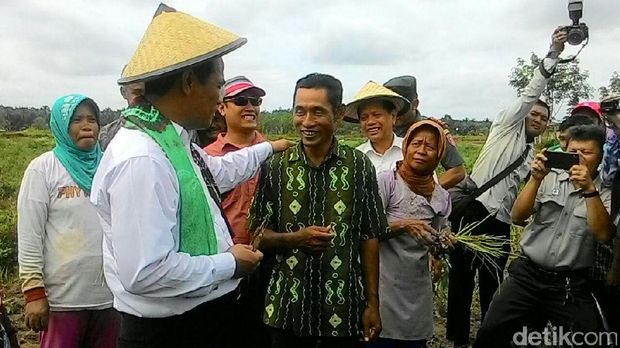 Mentan Amran berdialog dengan petani di Tapin-Kalsel