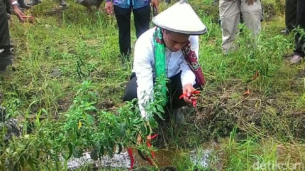 Mentan Amran kunjungan kerja di Tapin-Kalsel