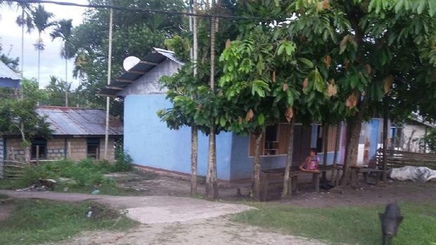 Masyarakat Papua nikmati listrik PLN