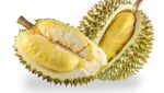 Segudang Manfaat Kesehatan Durian Si Raja Buah