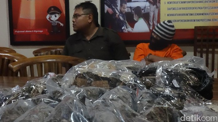 Polresta Denpasar Tangkap Pengedar Ganja dan Sabu untuk Tahun Baru