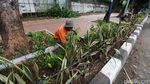 Spanduk Larangan Berjualan di Kawasan Senayan