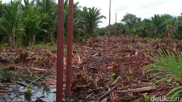 Warga desa Yoboi di Papua akan nikmati listrik 24 jam dari PLN