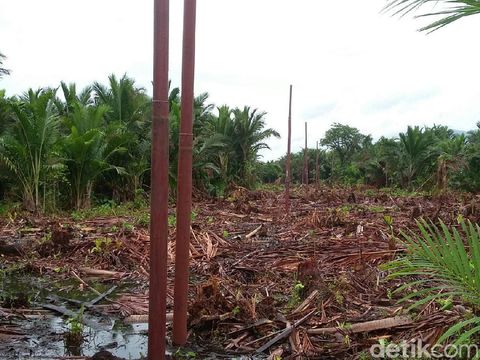 PLN Listriki Desa di atas Danau Sentani Papua
