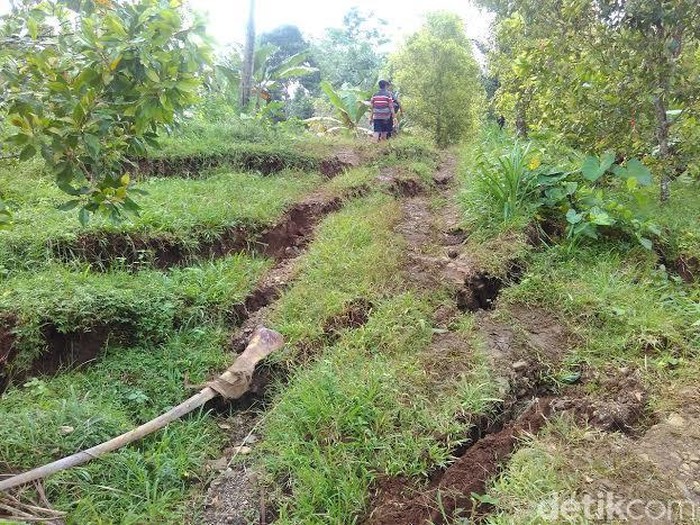 20 Hektare Sawah Hancur Imbas Pergerakan Tanah di Trenggalek