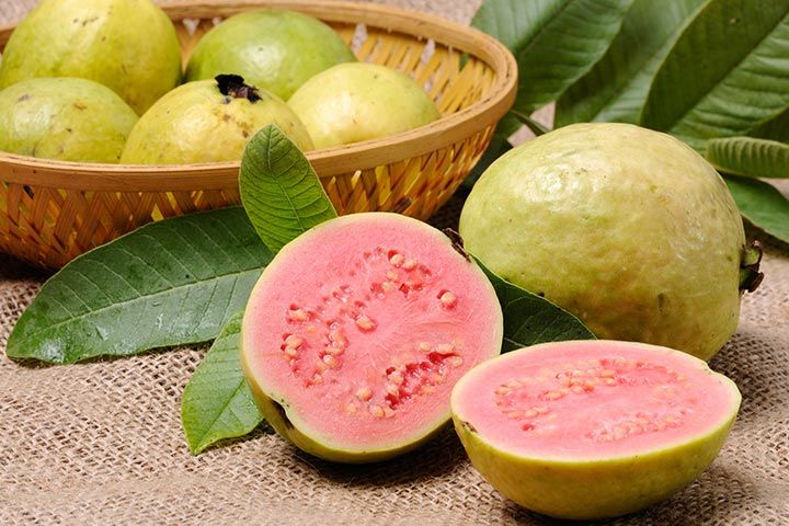 manfaat jambu biji