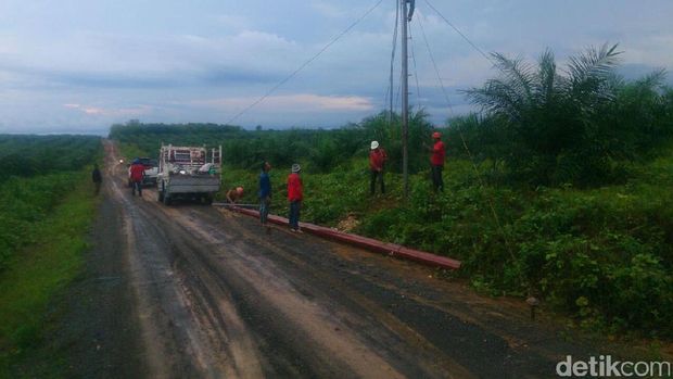 PLN bangun jaringan listrik di Desa Sardangan-Kalsel