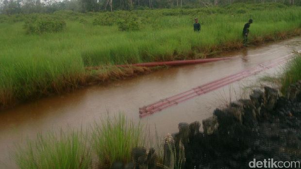 PLN bangun jaringan listrik di Desa Sardangan-Kalsel