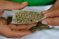 Sambut 2017, Diperkenalkan Air Ganja sebagai Suplemen Olahraga