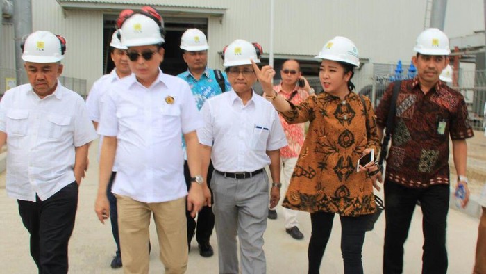 Kaji Ulang Tarif Energi Terbarukan, Jonan: Agar Harganya Bisa Bersaing