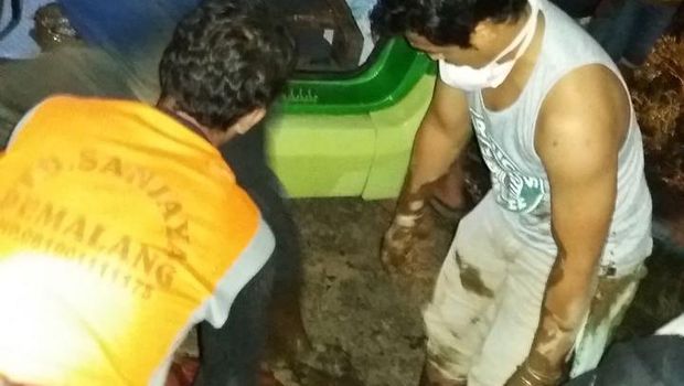 Bus Masuk Sawah di Pemalang, 8 Orang Tewas