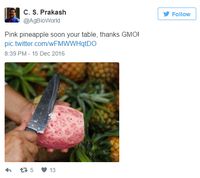 Nanas Bukan Lagi Kuning, Sekarang Ada Nanas Berdaging Pink