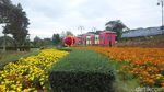 Terpesona Taman Bunga Terbesar di Thailand