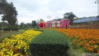 Foto: Taman bunga ini disebut terbesar di Thailand. Luasnya sekitar 16 hektar (Pasti Liberti/detikTravel)