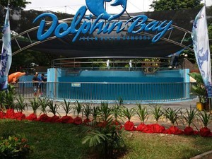 Ancol Luncurkan Wahana Baru Jelang Liburan Akhir Tahun