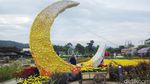Terpesona Taman Bunga Terbesar di Thailand