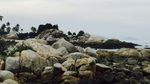 Parai Tenggiri, Si Cantik Buat Libur Akhir Tahun ke Bangka