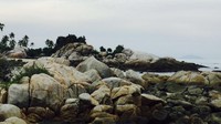 Batuan raksasa ini jadi pemandangan tersendiri untuk dilihat di Pantai Parai Tenggiri. Selain itu, laut di pantai ini terlihat jernih dan biru. Sampah juga tidak terlihat di sekitar pantai. Bersih! Niken/detikTravel)