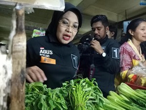 Soal Kemungkinan Pasar Dikelola Swasta, Sylviana: Yang Penting Tertib