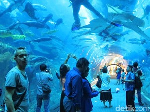 Dubai Memindahkan Laut ke Dalam Mal