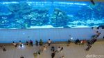 Penampakan Laut Dalam Mal di Dubai