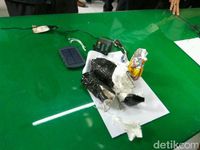 Soal Benda Mirip Bom di Ubud Bali, Polisi Buru Pencuri Tas WN Belanda
