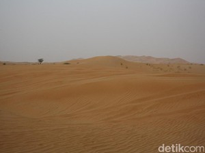 Kecantikan Gurun Pasir Timur Tengah