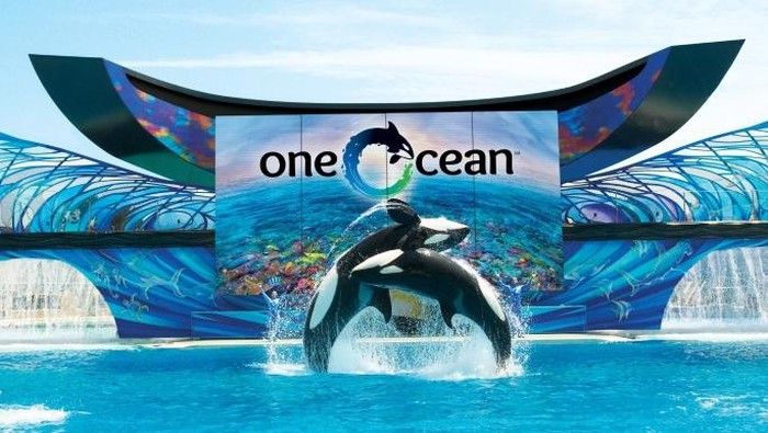SeaWorld di Orlando, AS
