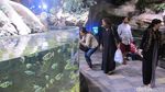 Penampakan Laut Dalam Mal di Dubai