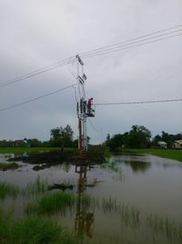 Cerita PLN Bikin Pembangkit Listrik di Atas Tanah Rawa Kalimantan