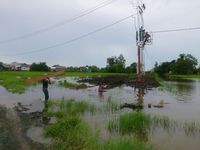Cerita PLN Bikin Pembangkit Listrik di Atas Tanah Rawa Kalimantan