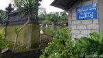 Pohon Berusia Ratusan Tahun yang Instagrammable di Bali
