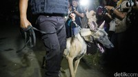 Polisi membawa anjing pelacak yang telah selesai bekerja.