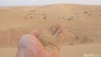 Pasirnya sangat halus disentuh. Baiknya pakai pakaian yang nyaman ya saat datang ke Dubai Desert Conservation (Afif/detikTravel)