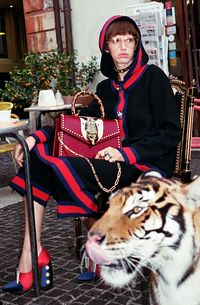 Gucci Ajak Harimau, Singa dan Jerapah Jadi Model Kampanye 2017