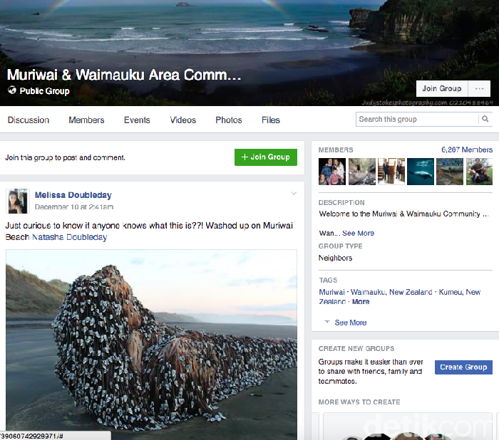 Geger Raksasa Menyeramkan Terdampar di Pantai Murawai Selandia Baru