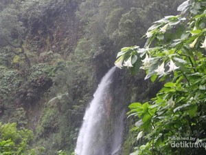 Cantik! Ini Air Terjun Gunung Gede Pangrango