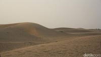 Gurun pasir ini dilindungi pemerintah Dubai, menjadi kawasan konservasi. Artinya, Dubai Desert Conservation tidak dihuni penduduk (Afif/detikTravel)