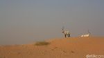 Dubai yang Antah Berantah