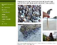 Geger 'Raksasa' Menyeramkan yang Terdampar di Pantai Murawai Selandia Baru